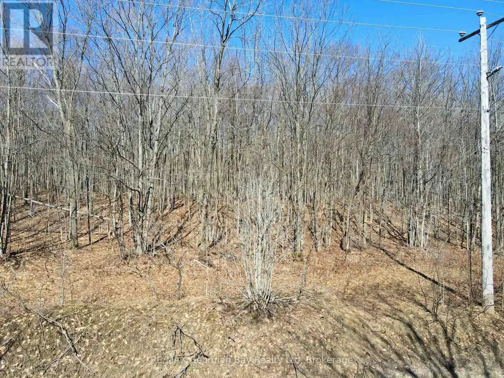 Lot 33 Macavalley Road, Tiny